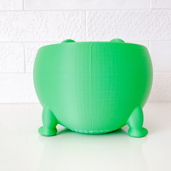 animal pots - plant pots for lined plants - Picture 4 of 16